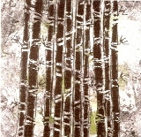 S&eacute;rgio Rabinovitz. “Bambu”.